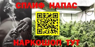 ГАЛЛЮЦИНОГЕННЫЕ ГРИБЫ Пенза
