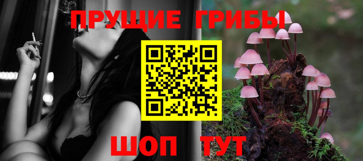 Галлюциногенные грибы Magic Shrooms Советск